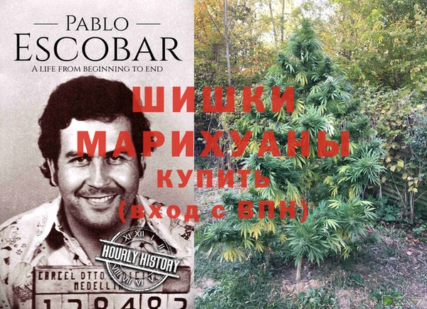 гидропоника Гусев
