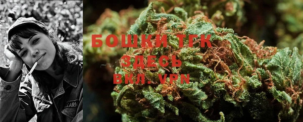 гидропоника Гусев