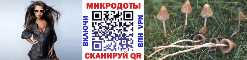 Псилоцибиновые грибы ЛСД  где можно купить наркотик  Зерноград 
