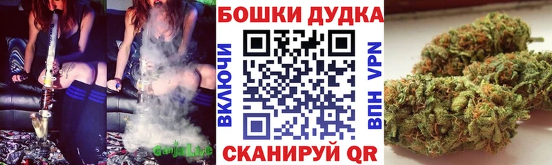 даркнет наркотические препараты  Зерноград  Бошки марихуана Bruce Banner 