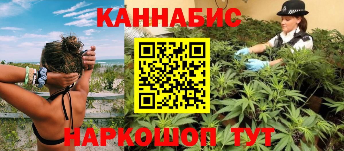 Конопля OG Kush  Бошки марихуана MAZAR  Зерноград  Марихуана планчик  Вход с VPN 
